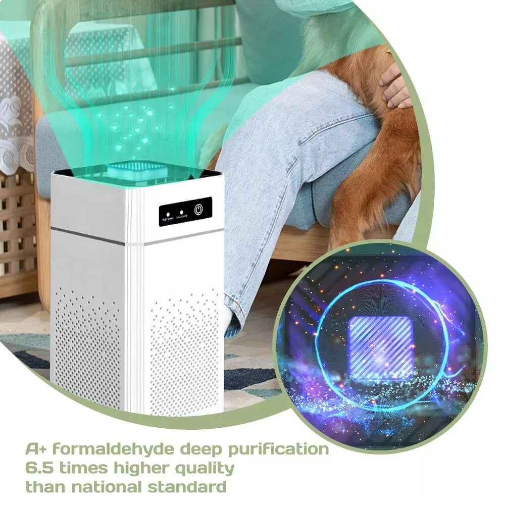 HEPA Air Purifier For Large Rooms Filters Dust And Smoke