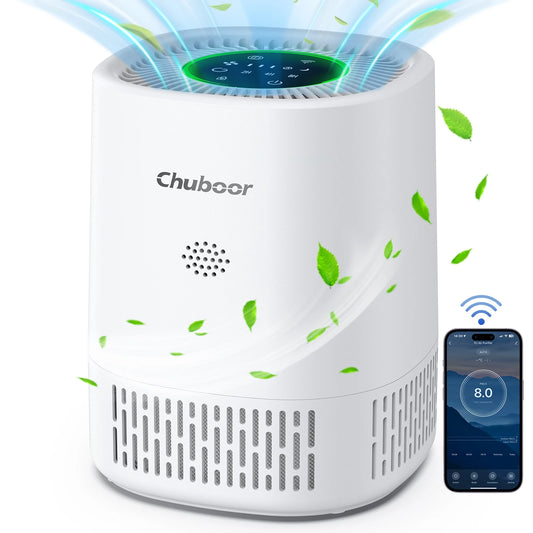 Chuboor Desktop Air Purifier Filters Smoke Dust And Odor