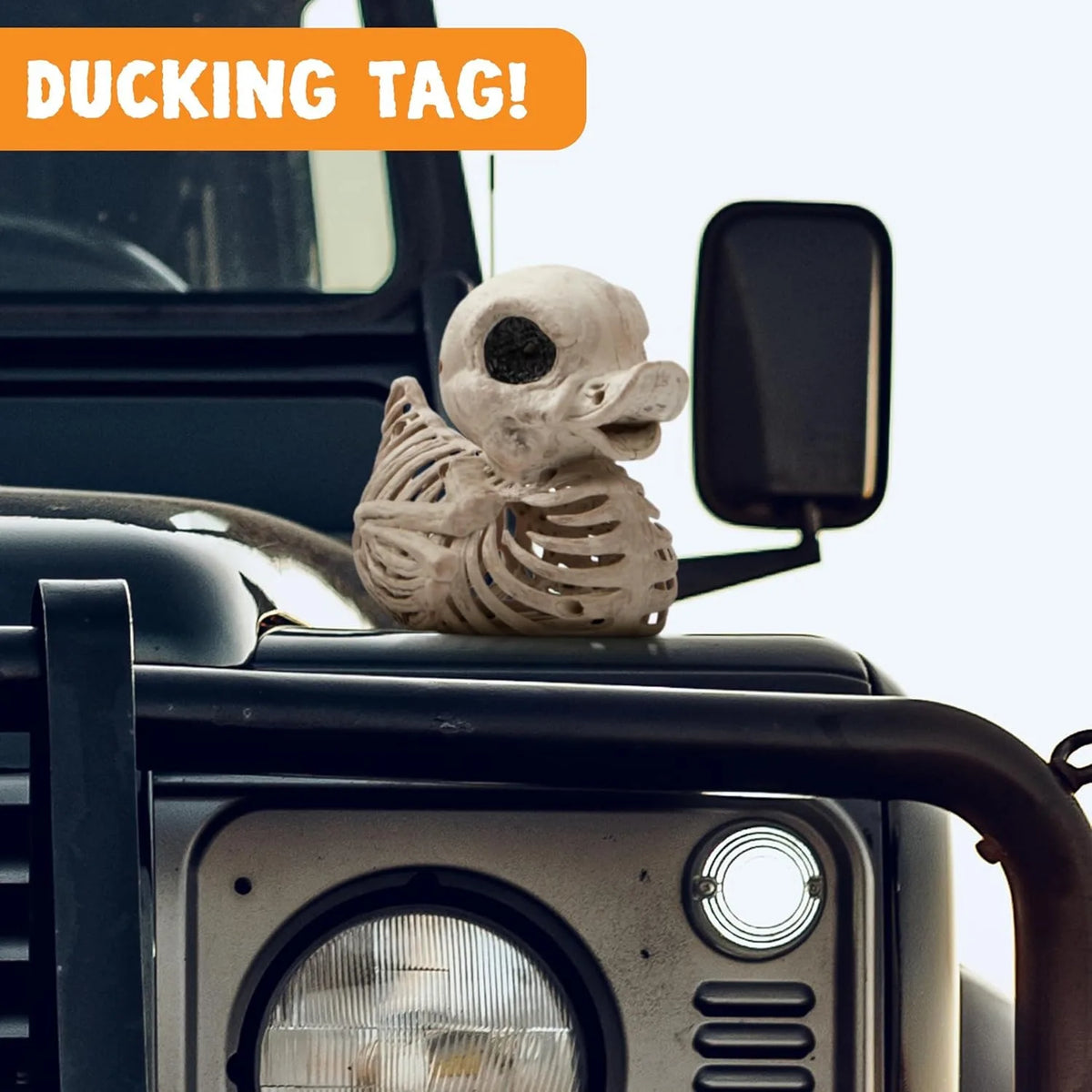 Halloween Duck Skeleton Decorations for Spooky Indoor Outdoor Displays