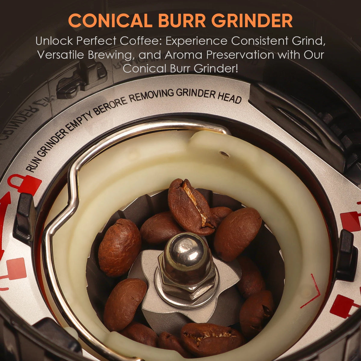 Biolomix Electric Conical Burr Coffee Grinder