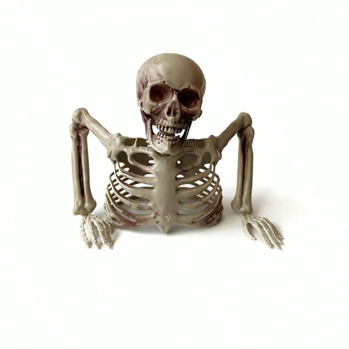 Halloween Half Body Skeleton Ornament for Spooky Haunted House Decor